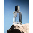 Burdin Amoroso EDP 100 ml M