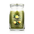 Yankee Candle świeca zapachowa Praline &amp; Birch 567 g - Sage & Citrus