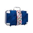 Zmile Cosmetics Traveller Blue