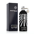 Montale Paris Fantastic Oud EDP 100 ml U