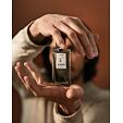 Burdin Carrure EDP 100 ml M