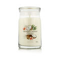 Yankee Candle świeca zapachowa Praline &amp; Birch 567 g - Coconut Beach