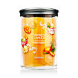 Yankee Candle Signature Tumbler świeca zapachowa 567 g - Mango Ice Cream