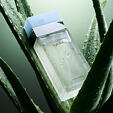 Dolce &amp; Gabbana Light Blue EDT 200 ml W