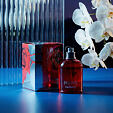 Cacharel Amor Amor EDT 100 ml W