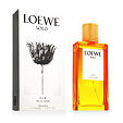 Loewe Solo Loewe Ella EDT 100 ml W