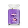Yankee Candle świeca zapachowa Praline &amp; Birch 567 g - Stargazing