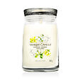 Yankee Candle świeca zapachowa Praline &amp; Birch 567 g - Midnight Jasmine