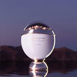 Afnan Souvenir Floral Bouquet EDP 100 ml W