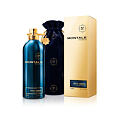 Montale Paris Aoud Ambre EDP 100 ml U