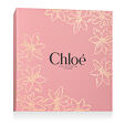 Chloé Chloé L'Eau de Parfum Intense EDP Intense 50 ml + BL 100 ml W - Rose Cover With Gold Flowers