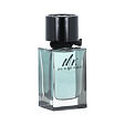 Burberry Mr. Burberry EDT 100 ml M - Stare opakowanie