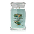 Yankee Candle świeca zapachowa Praline &amp; Birch 567 g - Aloe & Agave
