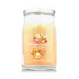 Yankee Candle świeca zapachowa Praline &amp; Birch 567 g - Mango Ice Cream
