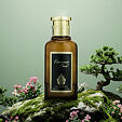 House of Perfumes Emarati Oud EDP 100 ml U